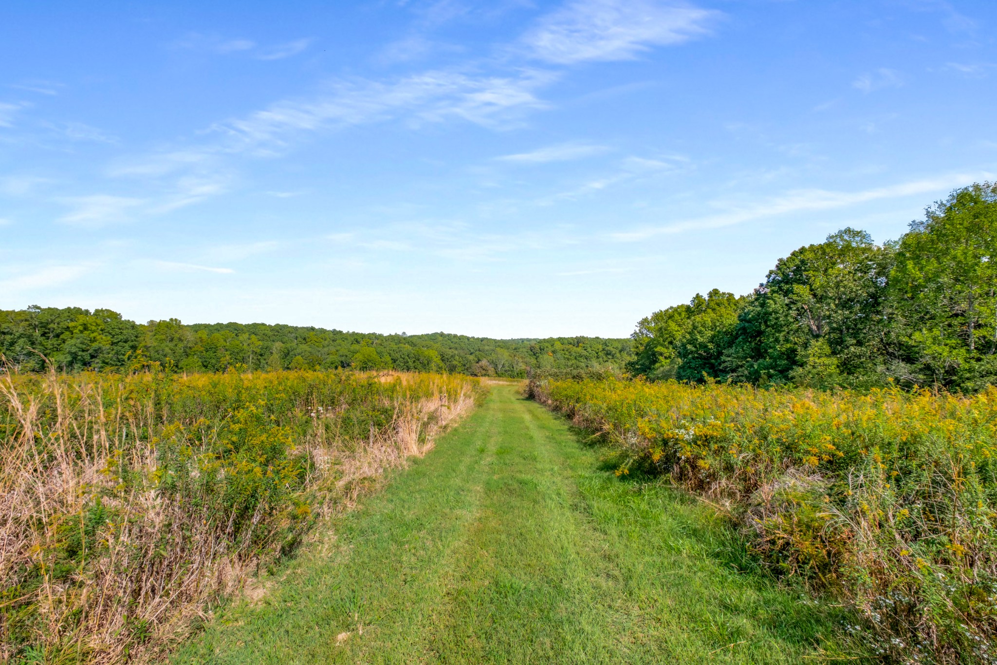 7909 Shoals Branch Road Primm Springs, TN 38476 - Photo 44 of 88