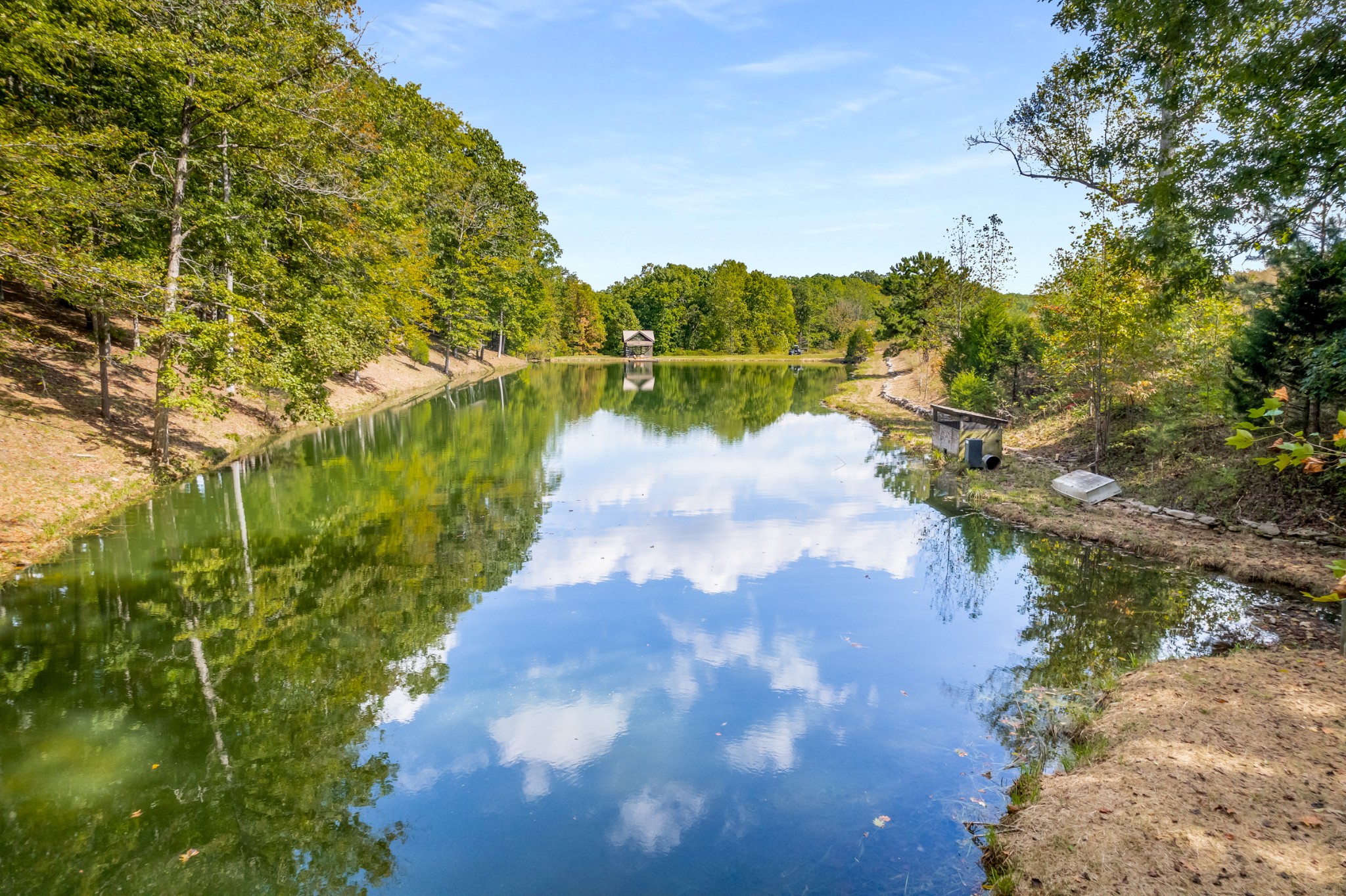 7909 Shoals Branch Road Primm Springs, TN 38476 - Photo 49 of 88