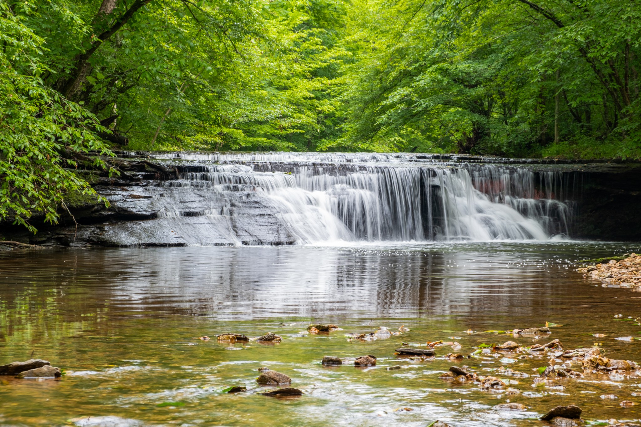 7909 Shoals Branch Road Primm Springs, TN 38476 - Photo 51 of 88