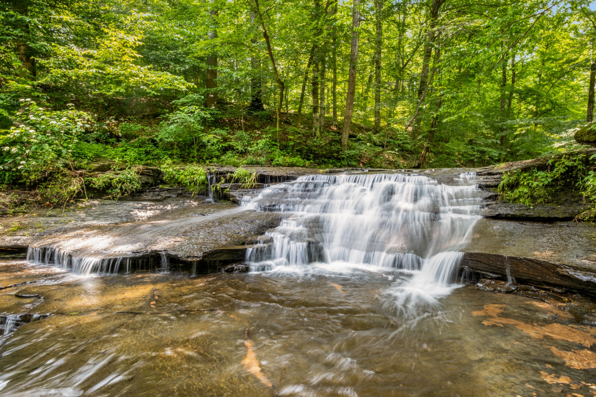 7909 Shoals Branch Road Primm Springs, TN 38476 - Photo 52 of 88