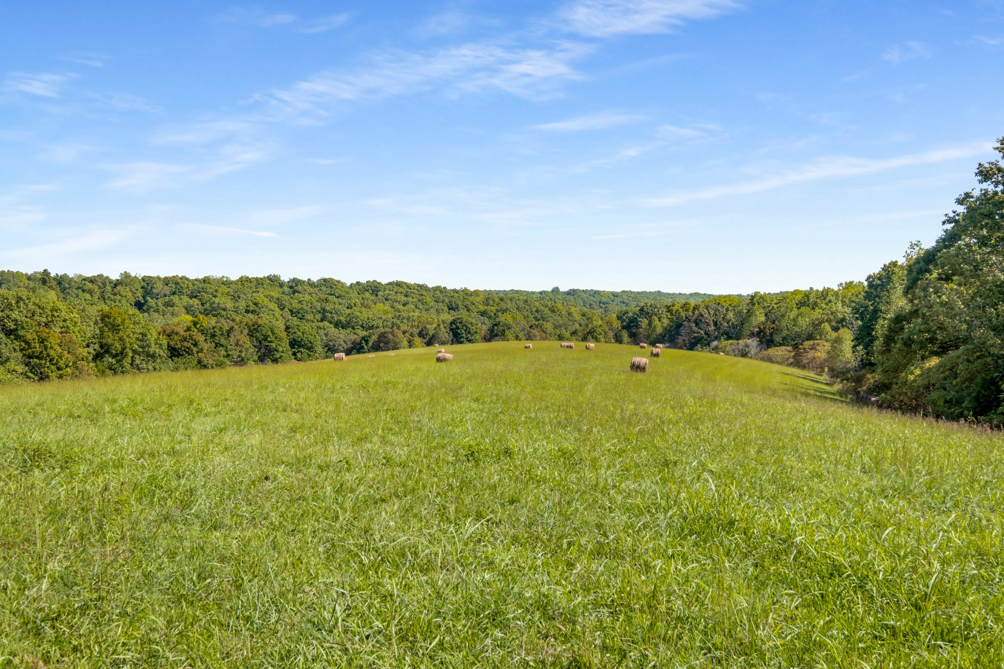 7909 Shoals Branch Road Primm Springs, TN 38476 - Photo 64 of 88