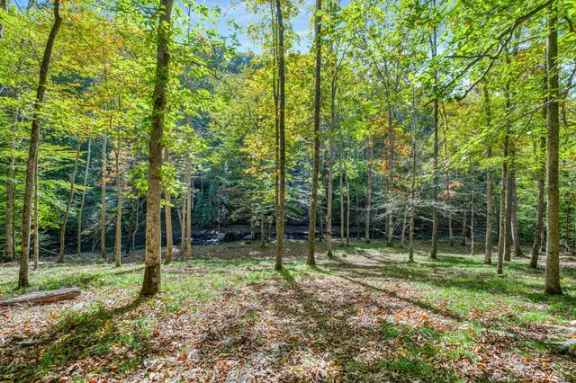 $7,480,000 | 7909 Shoals Branch Road, Primm Springs, TN 38476