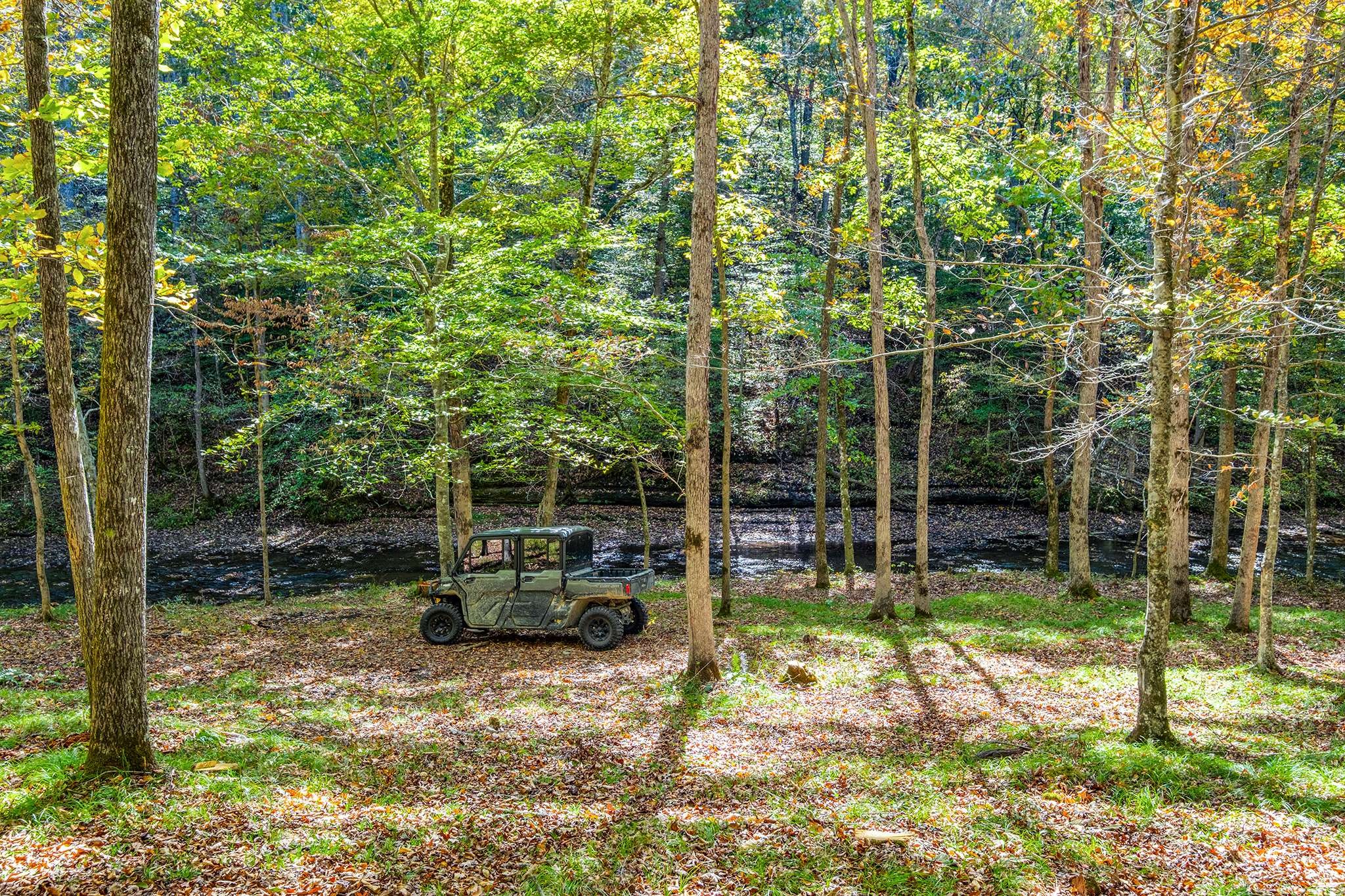 7909 Shoals Branch Road Primm Springs, TN 38476 - Photo 75 of 88