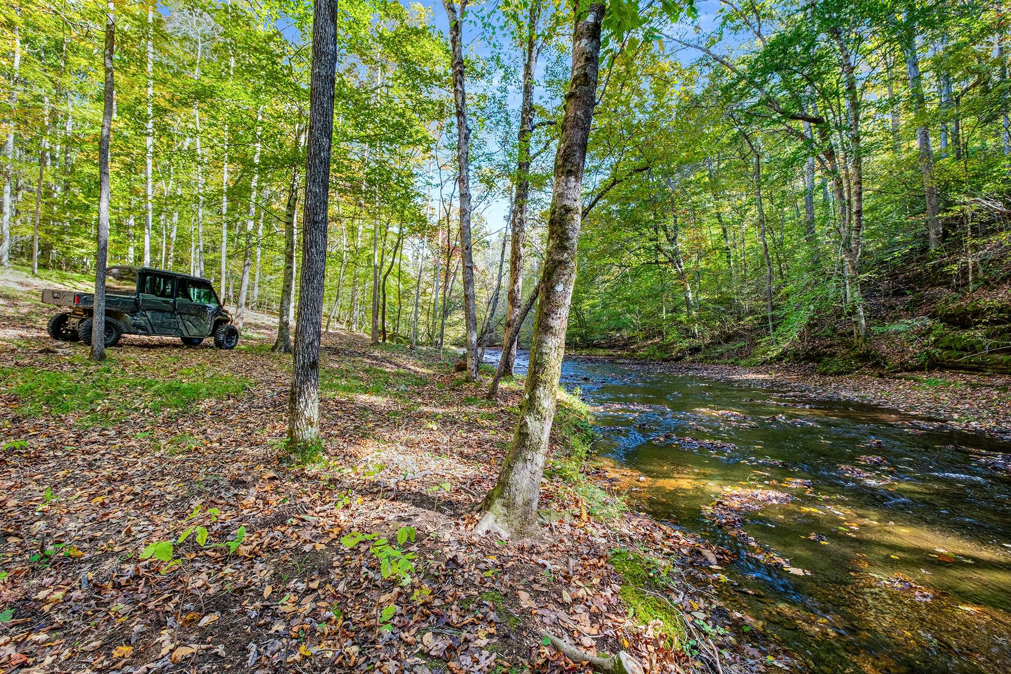 7909 Shoals Branch Road Primm Springs, TN 38476 - Photo 77 of 88