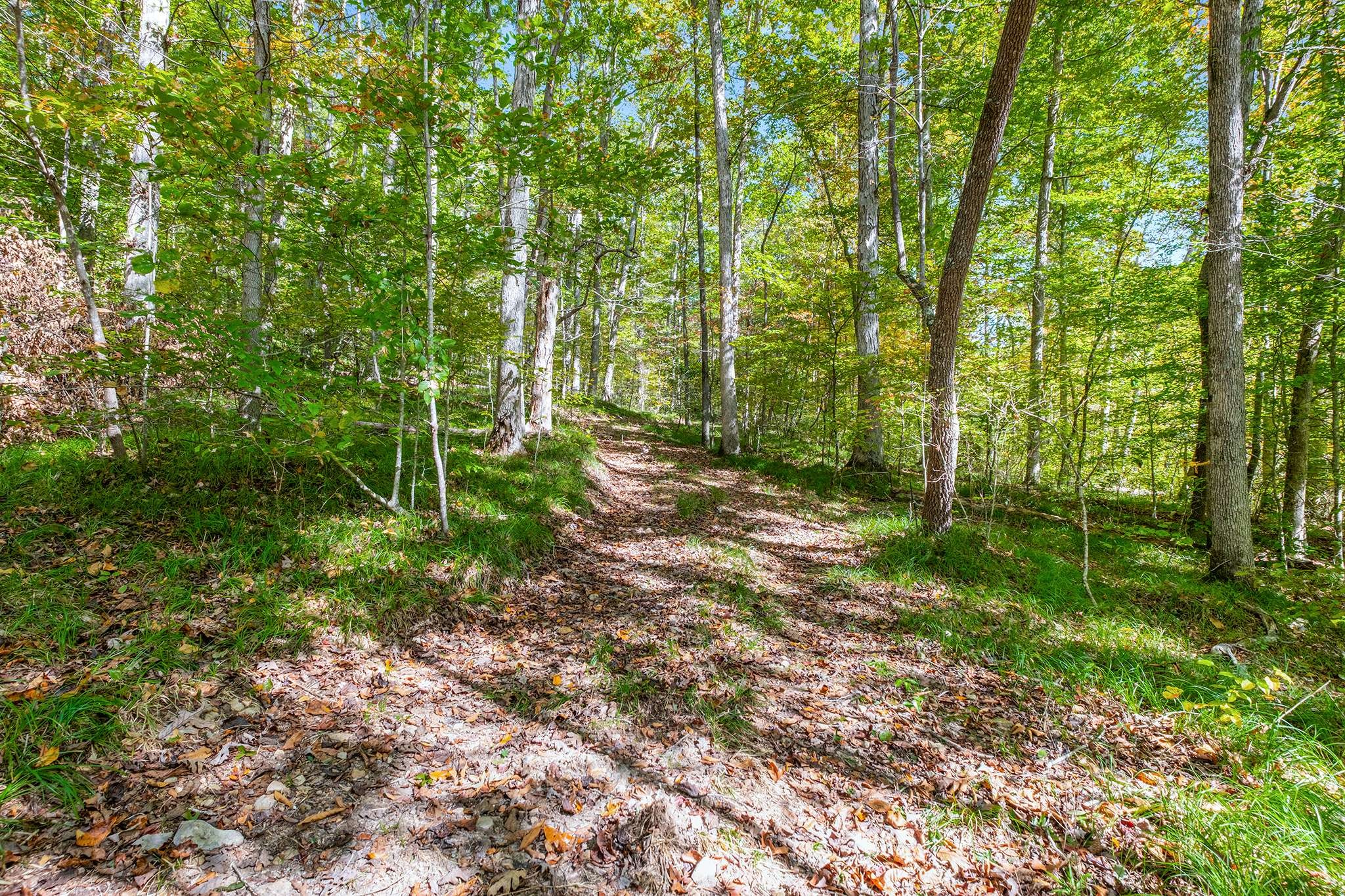 7909 Shoals Branch Road Primm Springs, TN 38476 - Photo 80 of 88