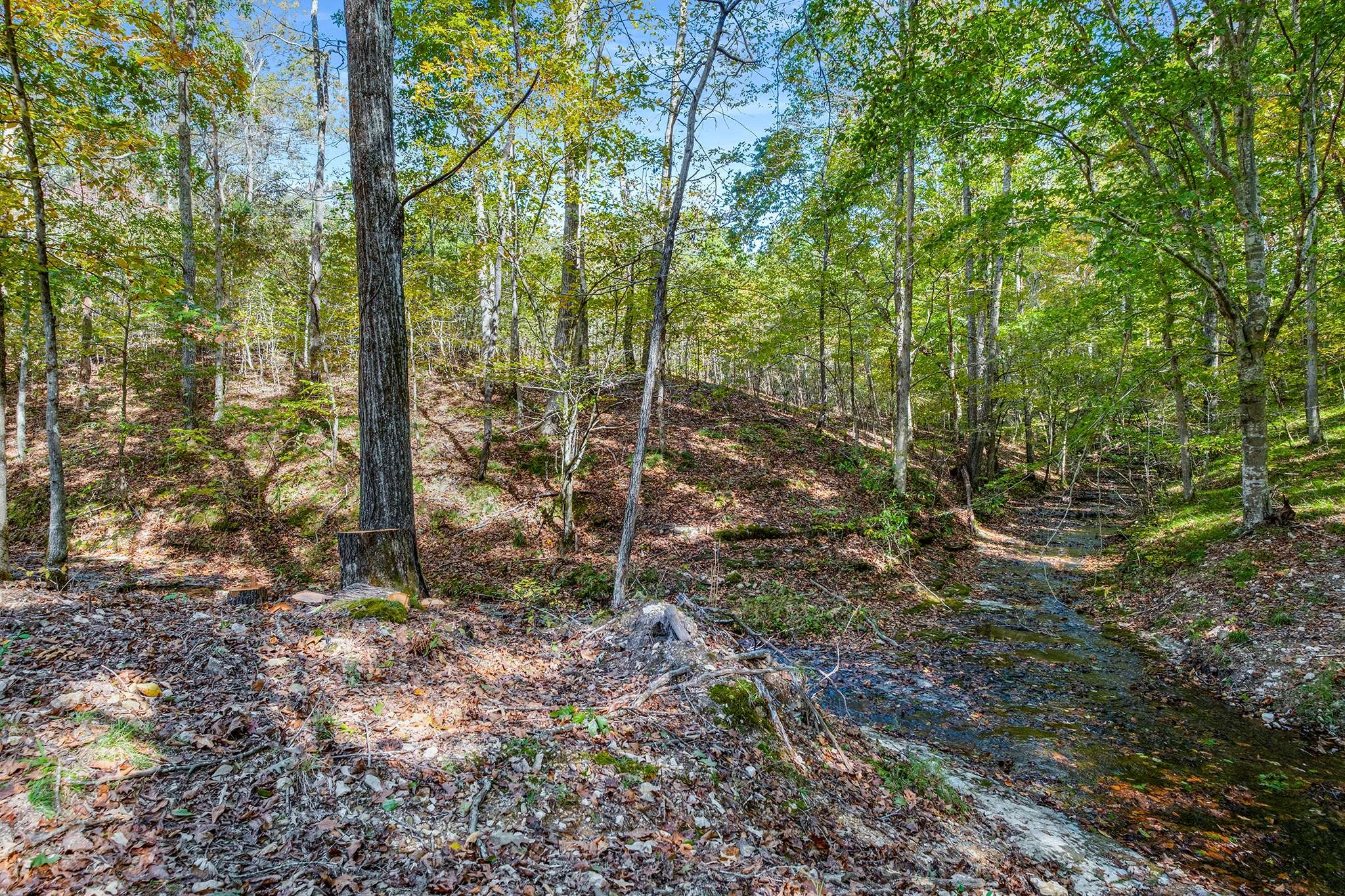 7909 Shoals Branch Road Primm Springs, TN 38476 - Photo 81 of 88