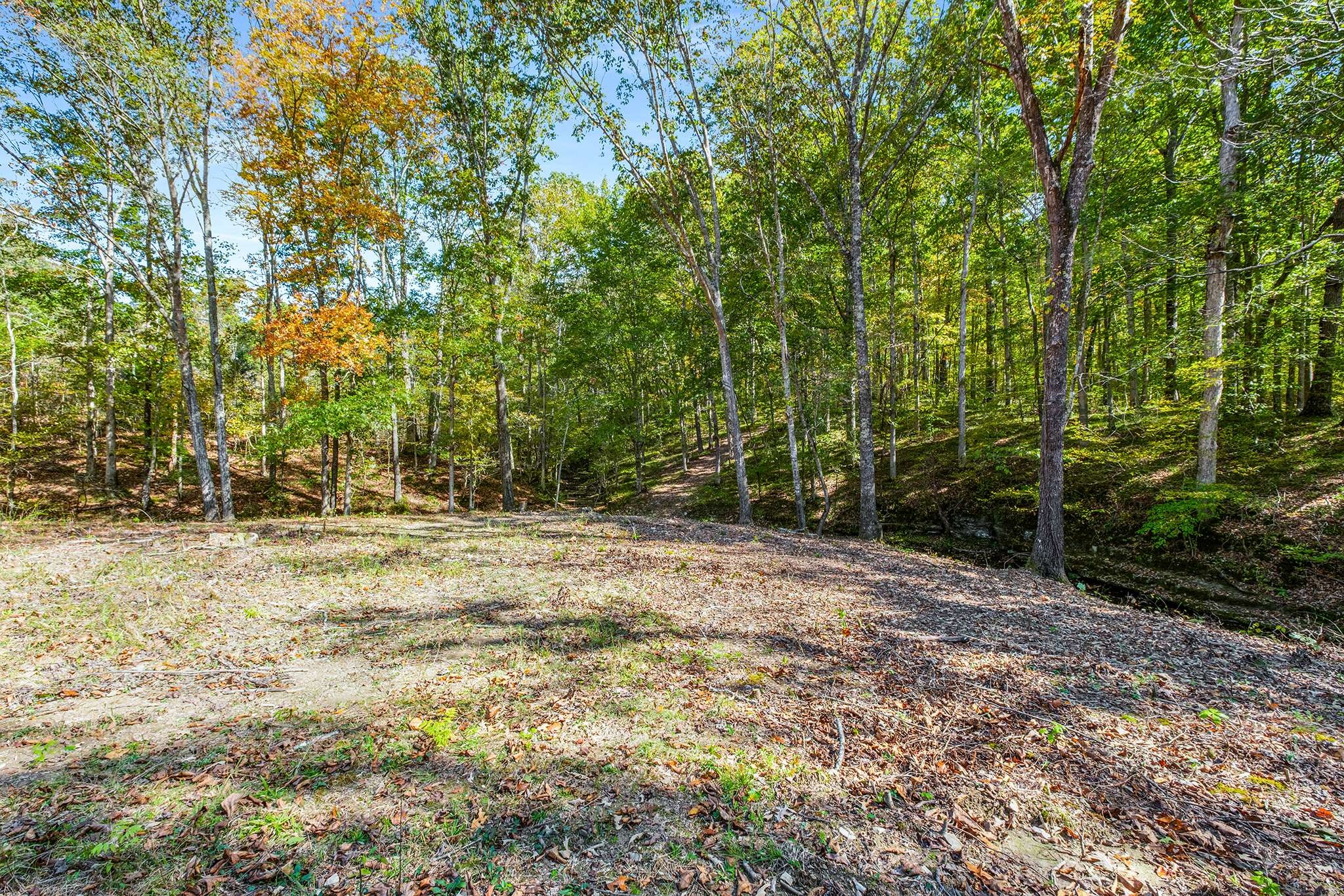 7909 Shoals Branch Road Primm Springs, TN 38476 - Photo 83 of 88