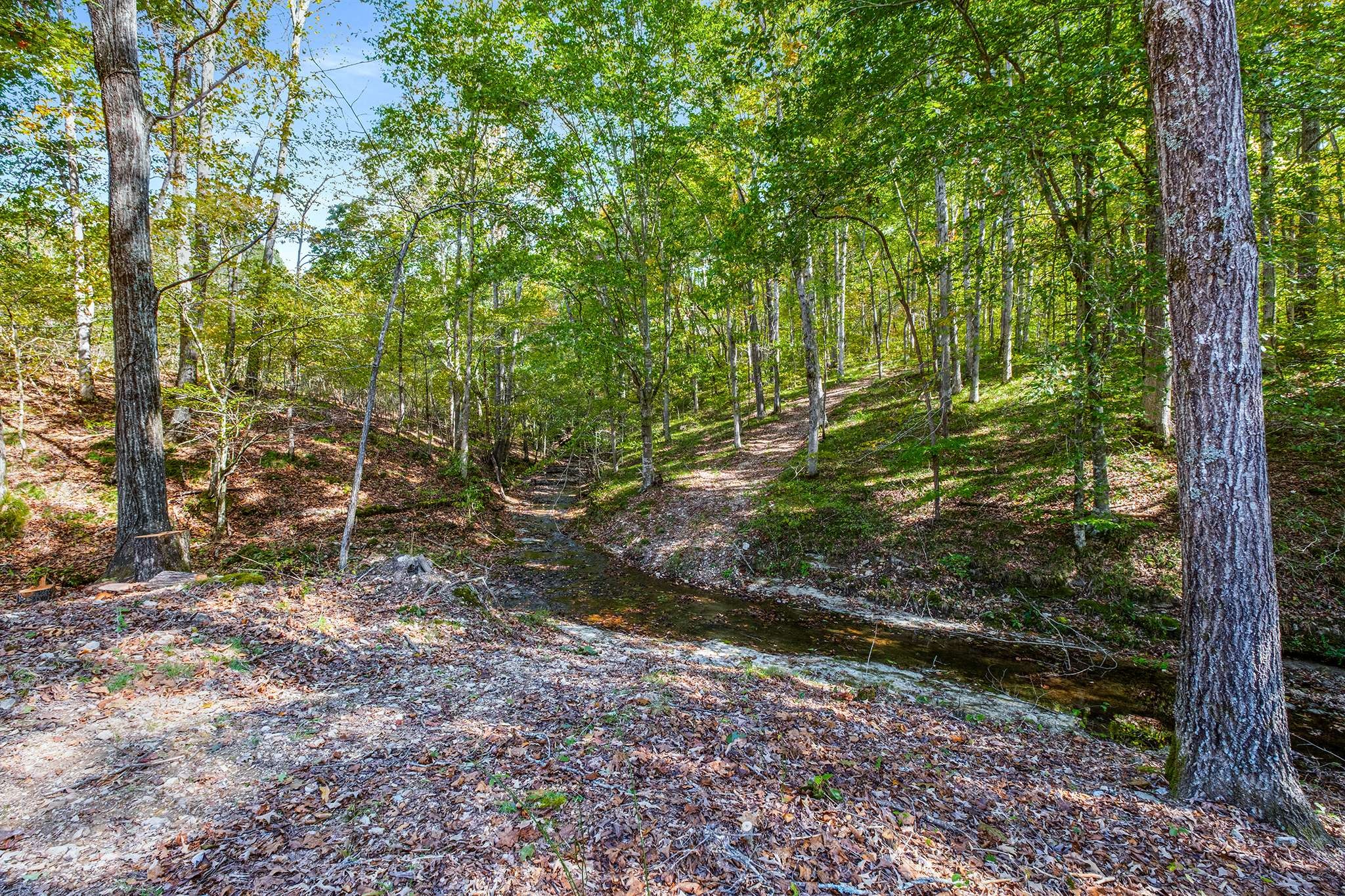 7909 Shoals Branch Road Primm Springs, TN 38476 - Photo 84 of 88