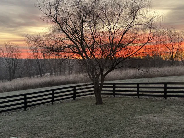 $7,480,000 | 7909 Shoals Branch Road, Primm Springs, TN 38476