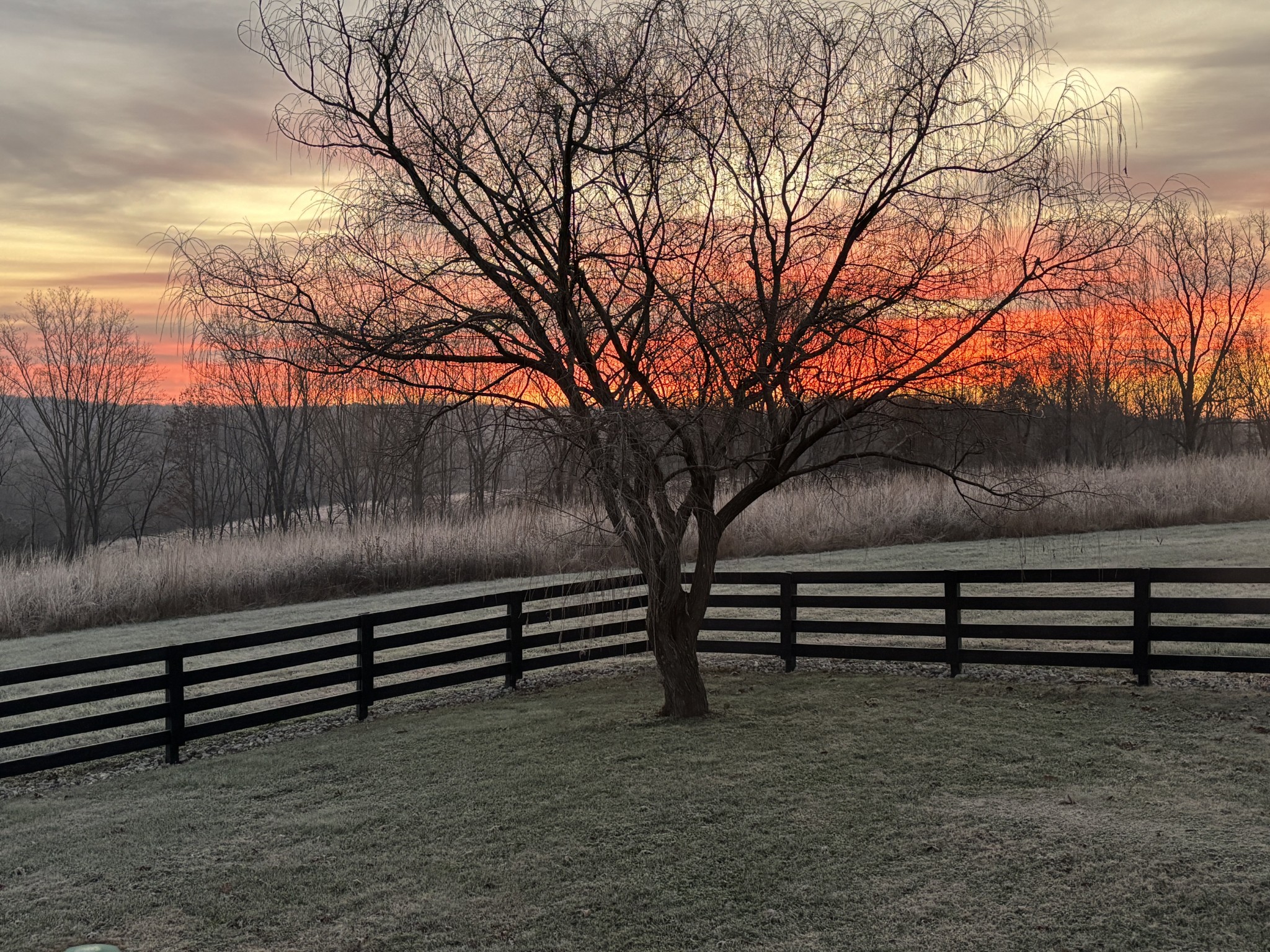 7909 Shoals Branch Road Primm Springs, TN 38476 - Photo 87 of 88