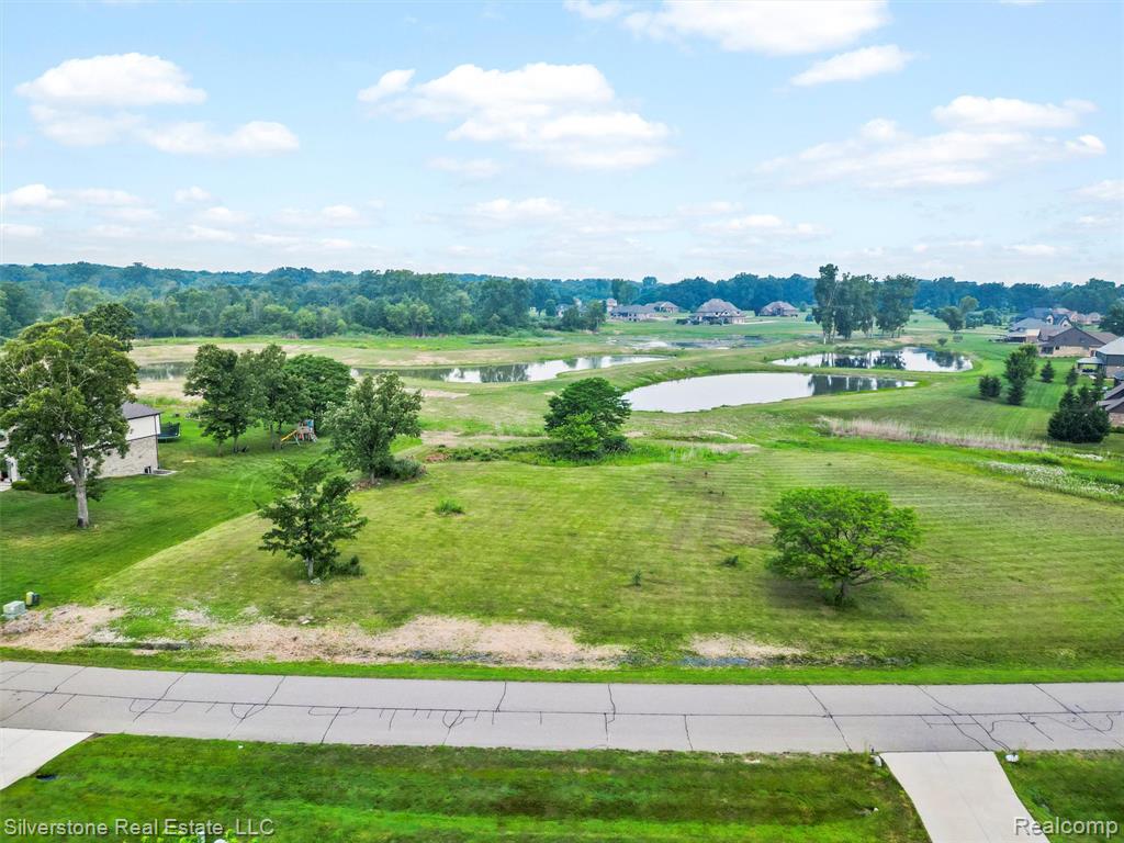 11572 Erin's Way Romeo, MI 48065 - Photo 7 of 24