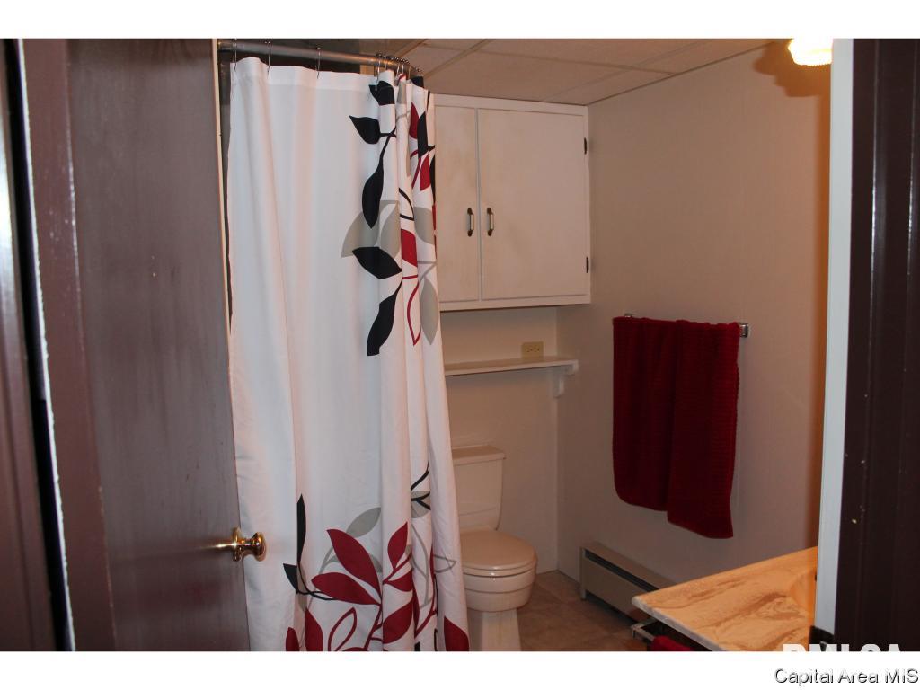 6180 Chicken Bristle Road Rochester, IL 62563 - Photo 23 of 35