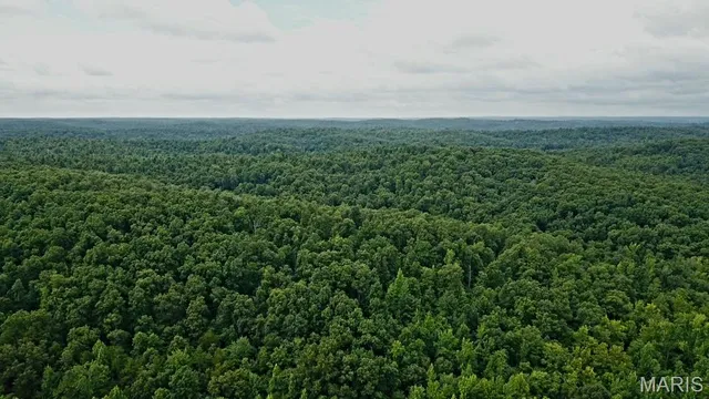 $350,000 | 2634 Wayne 220b, Silva, MO 63964