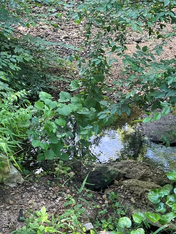 $350,000 | 2634 Wayne 220b, Silva, MO 63964