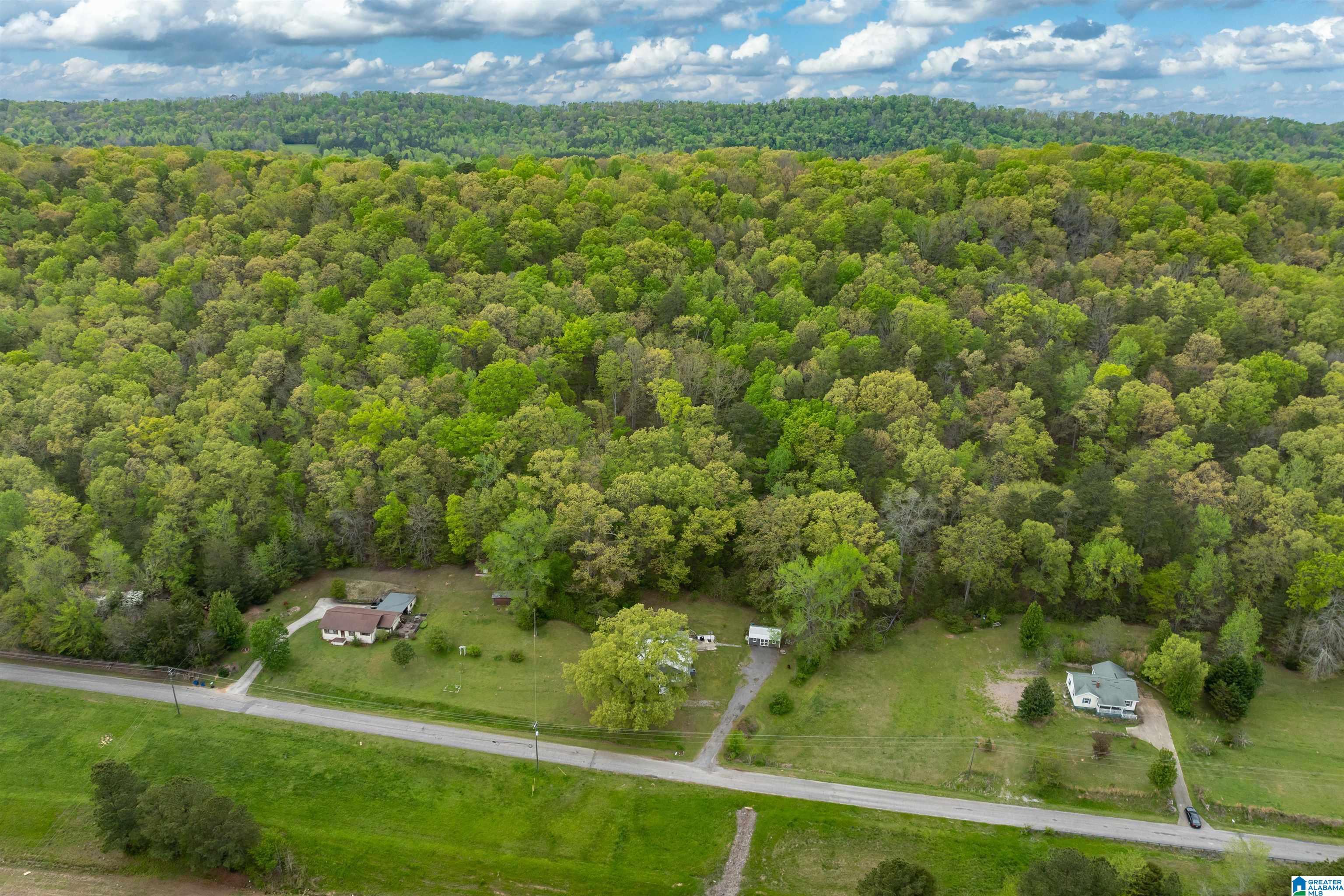 16631 Remlap Drive Remlap, AL 35133 - Photo 34 of 41