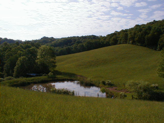 248 Somerset Farm Road Meadow Bridge, WV 25976 - Photo 95 of 98 Gallery Image 95