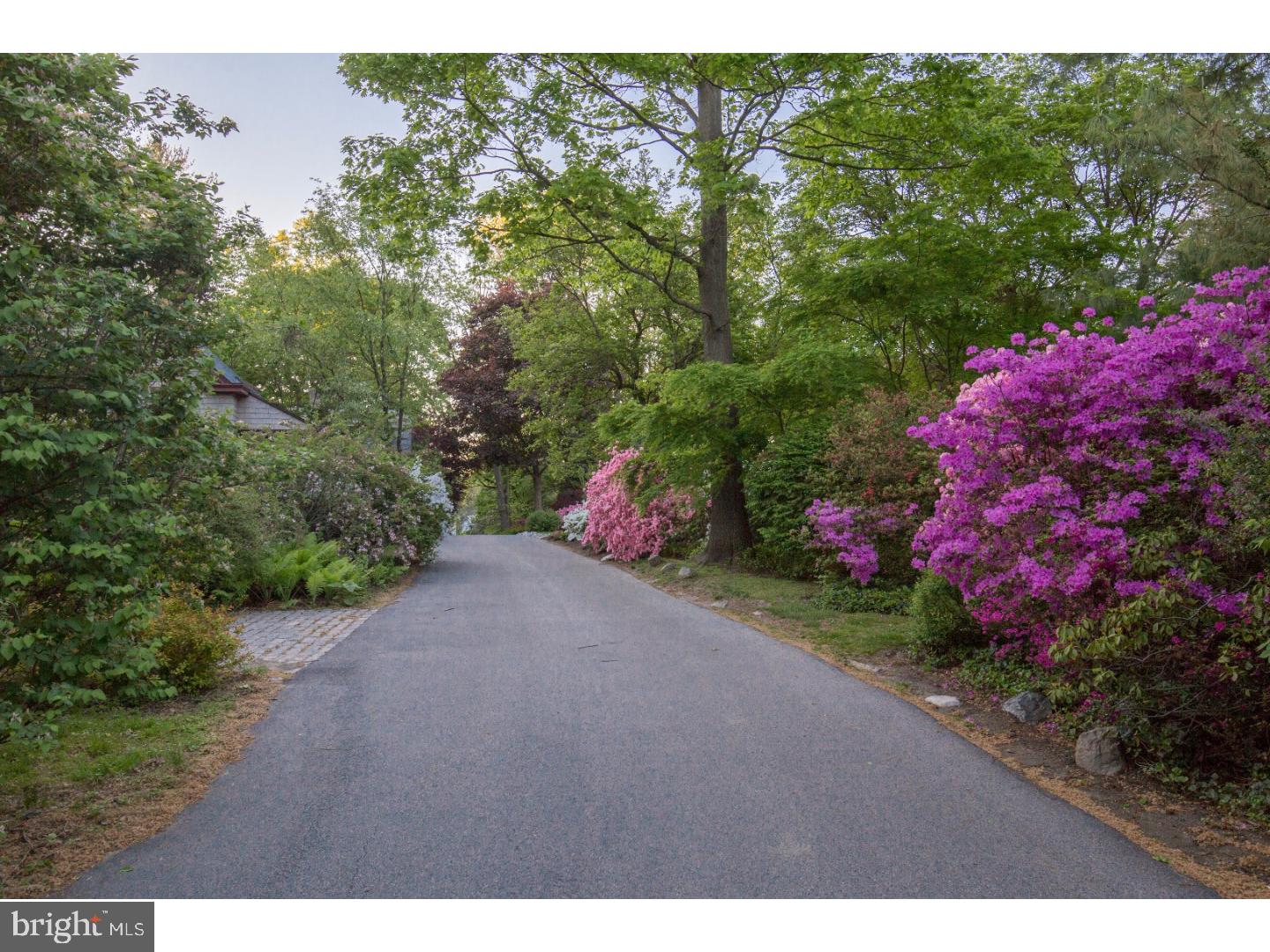415 Crescent Road Wyncote, PA 19095 - Photo 24 of 25 Driveway