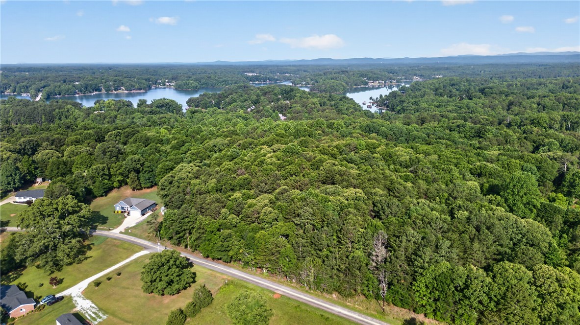 0 Barnes Road Seneca, SC 29672 - Photo 7 of 16 Overlooking serene waters, this expansive forested property promises secluded living with natural beauty.