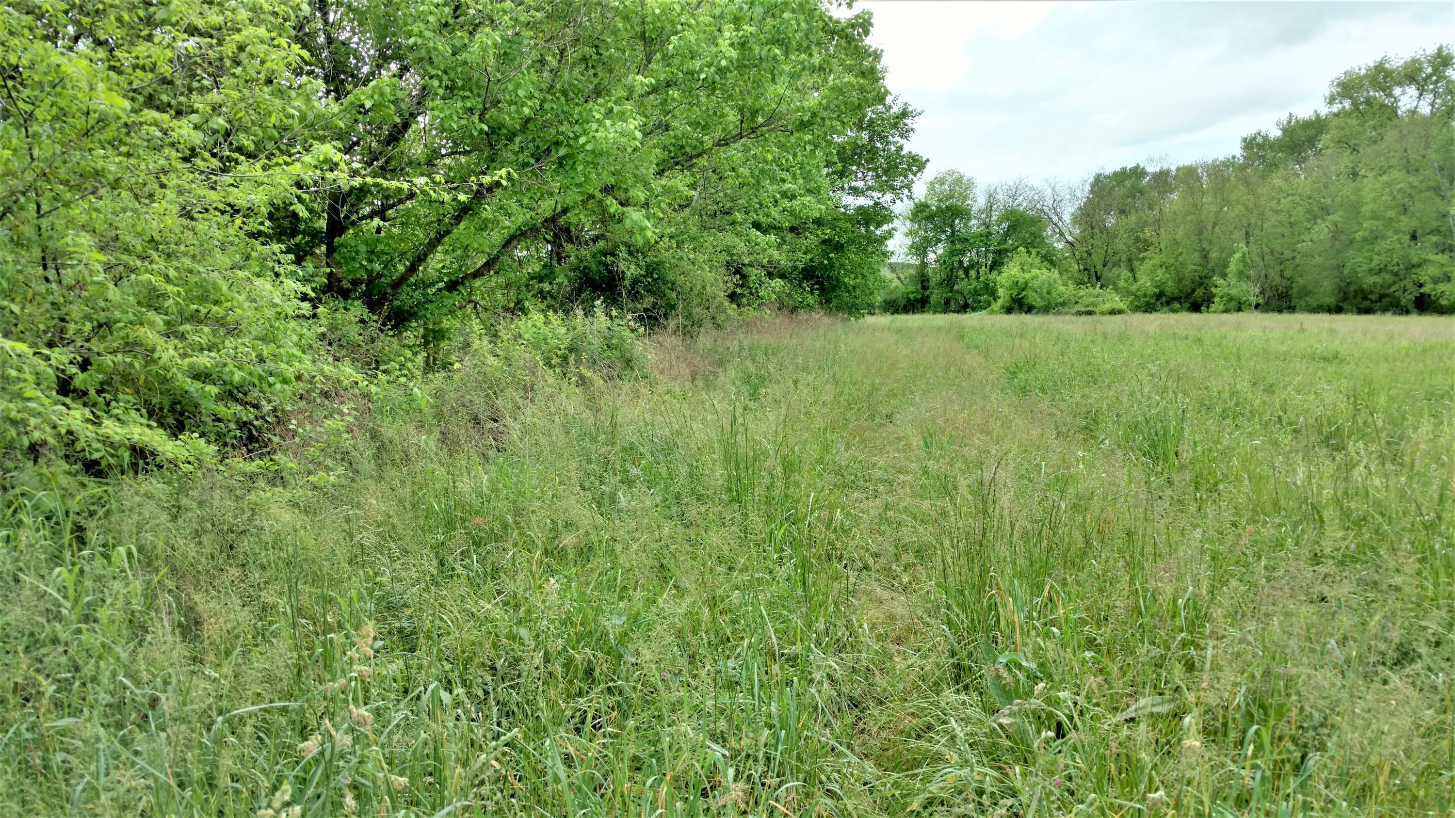 Spencer Hale Road Morristown, TN 37813 - Photo 2 of 4 IMG_20210510_165417657_HDR