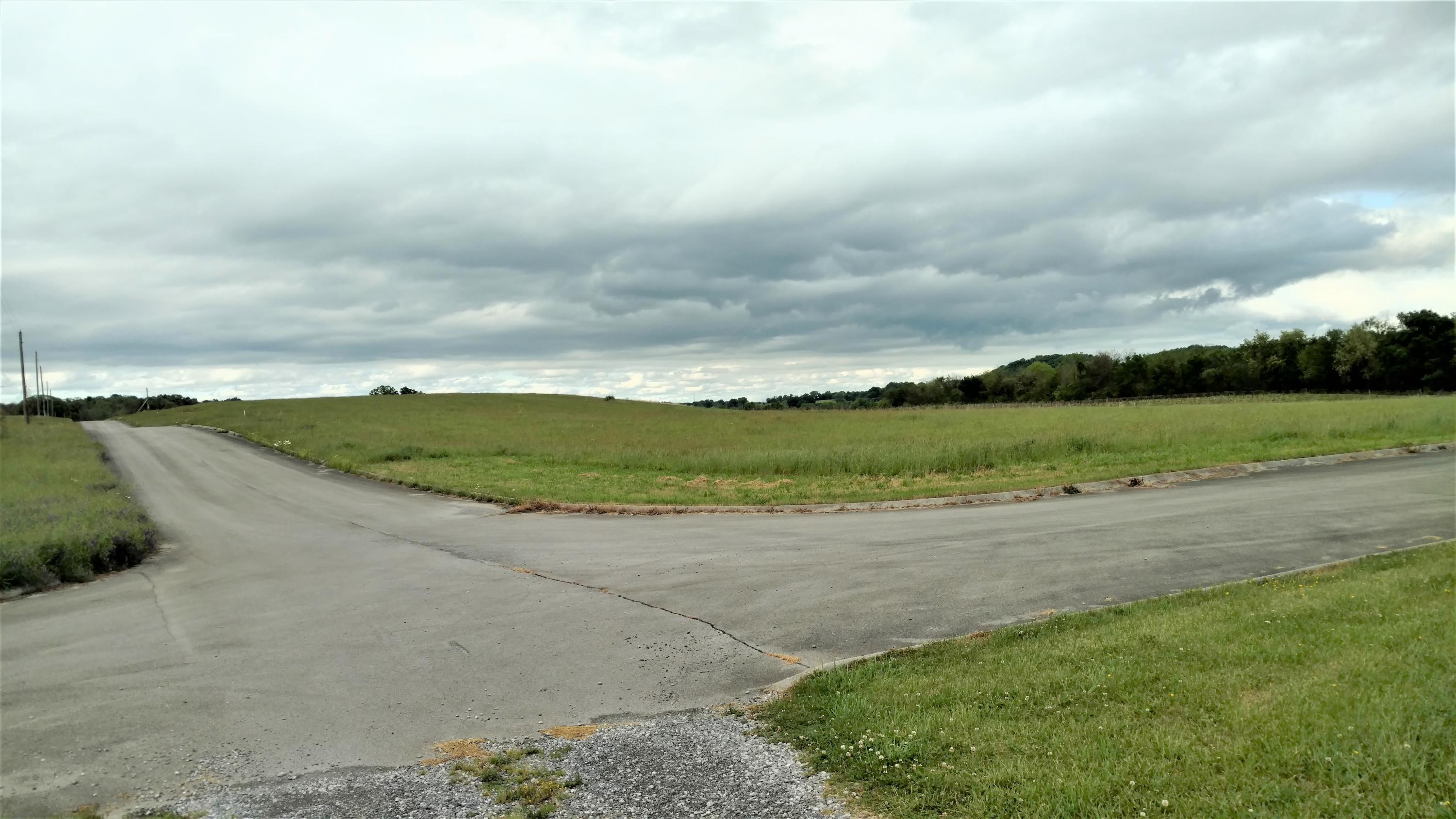 Spencer Hale Road Morristown, TN 37813 - Photo 3 of 4 IMG_20210510_170205213