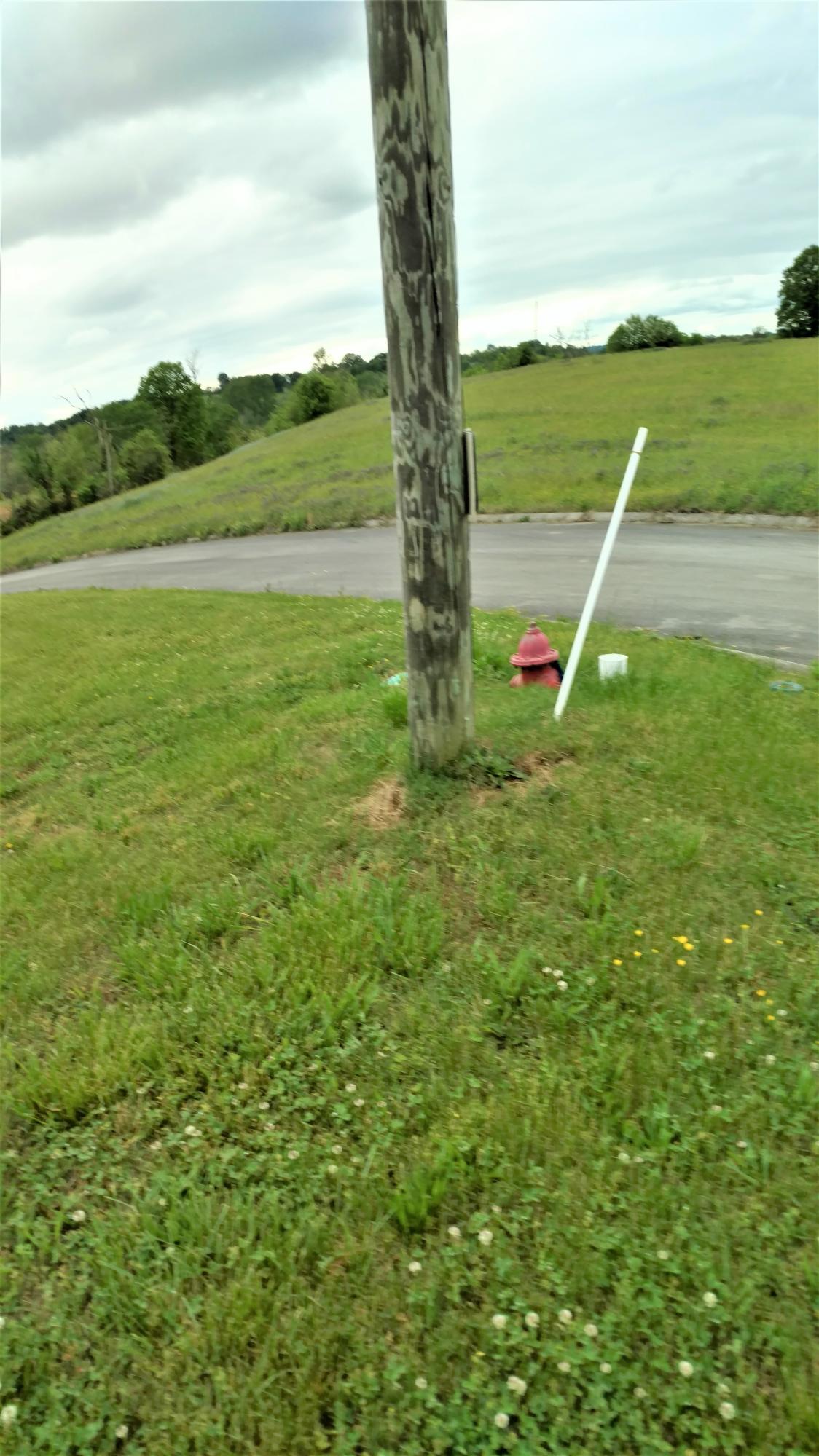 Spencer Hale Road Morristown, TN 37813 - Photo 4 of 4 IMG_20210510_170207091_TOP