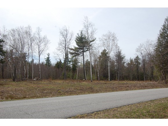Lot 15 Meadow Road Newbury, NH 03255 - Photo 2 of 2