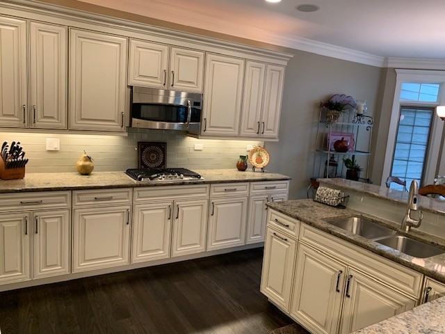 1829 Rizzi Lane Bartlett, IL 60103 - Photo 33 of 37 a kitchen with stainless steel appliances granite countertop white cabinets a sink and dishwasher