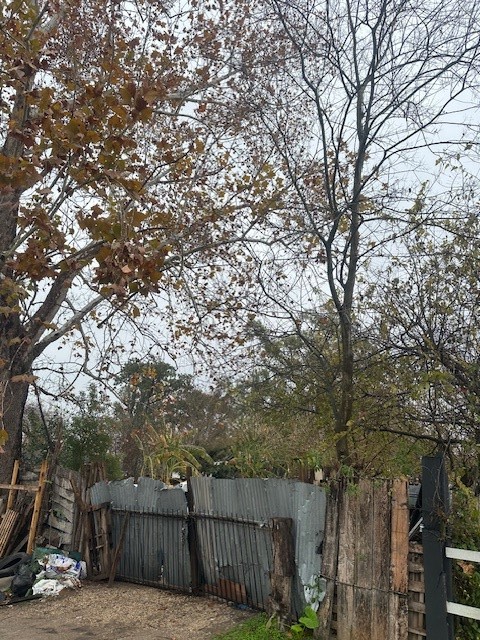 839 Fortune Street Houston, TX 77088 - Photo 5 of 9 a view of backyard with a trees and wooden fence