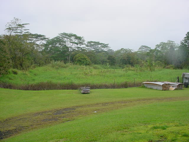 52 Hoaka Road Hilo, HI 96720 - Photo 4 of 11 a view of a green field with clear sky