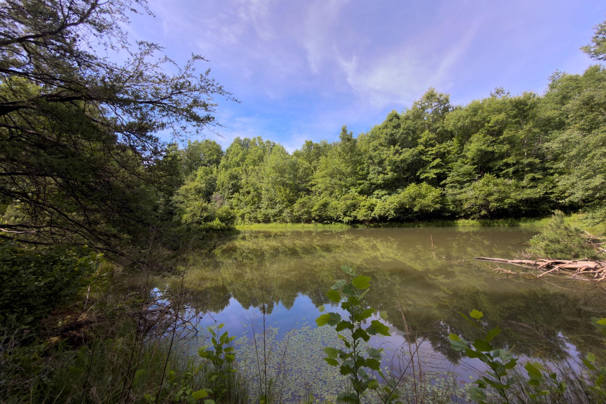 Tbd Melvin Hill Road Campobello, SC 29322 - Photo 20 of 29