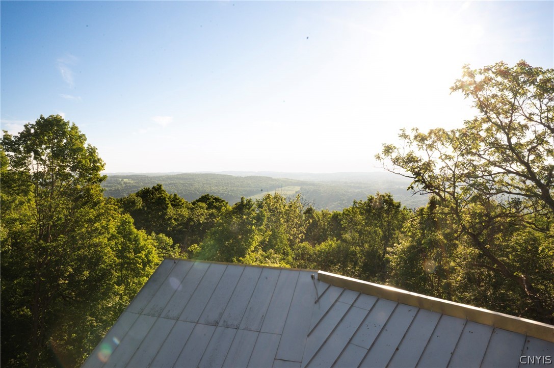 1700 Sky High Road LaFayette, NY 13084 - Photo 36 of 41
