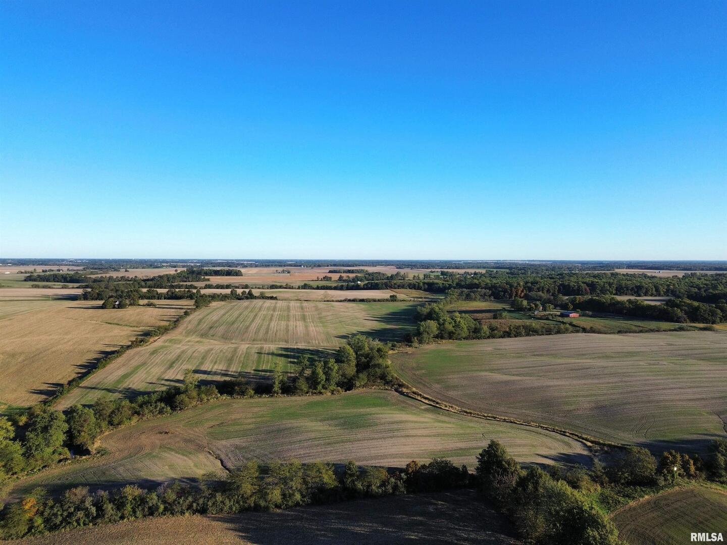0 County Road 2100 N County Road Cisne, IL 62823 - Photo 8 of 20