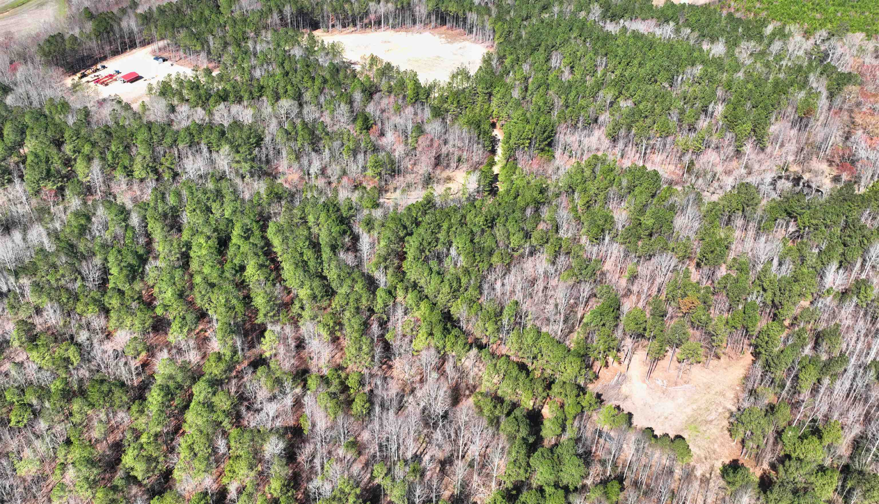 1555 Stallings Mill Road Spring Hope, NC 27882 - Photo 15 of 27 a view of a tree