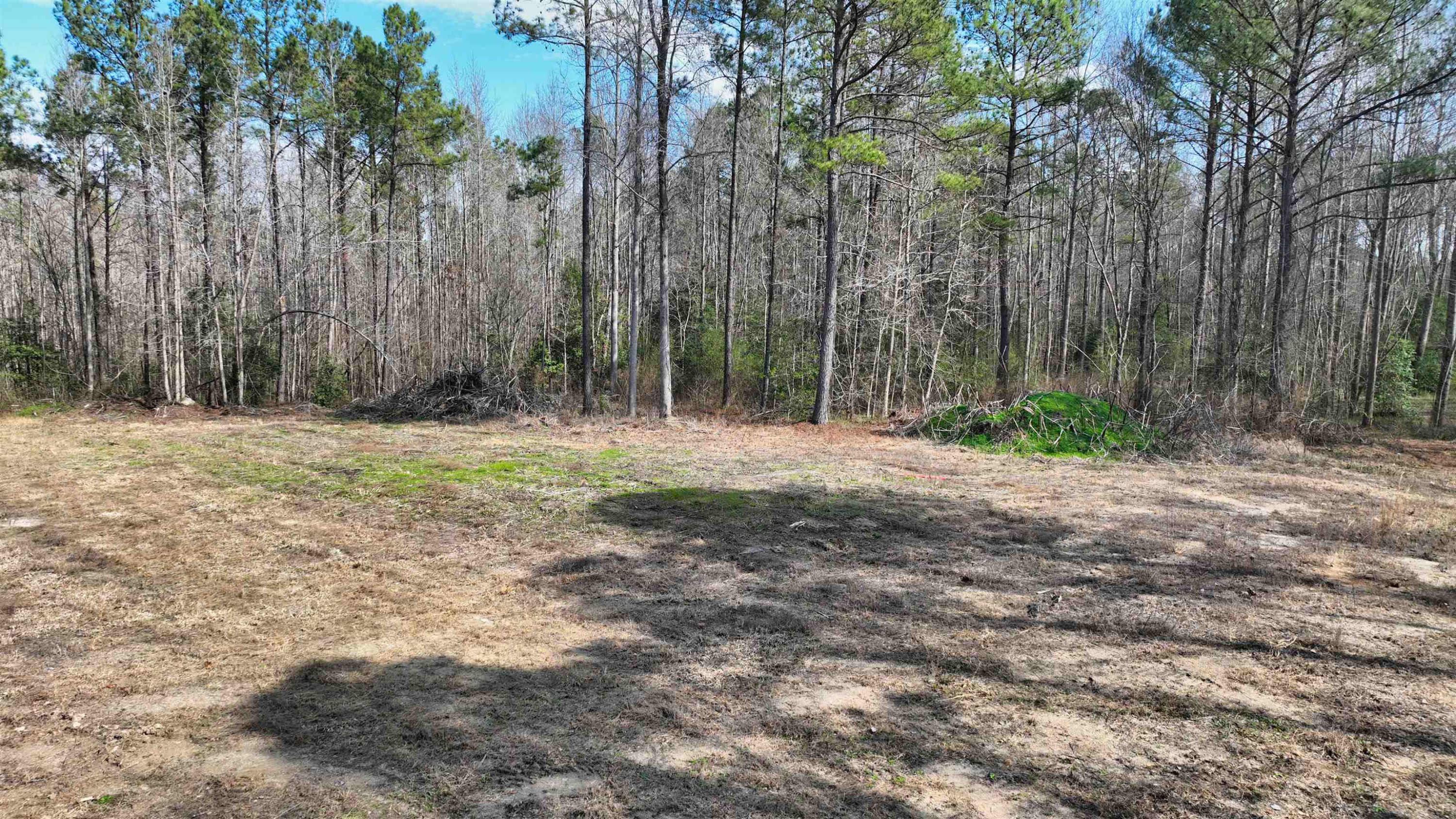 1555 Stallings Mill Road Spring Hope, NC 27882 - Photo 17 of 27 a view of outdoor space with trees