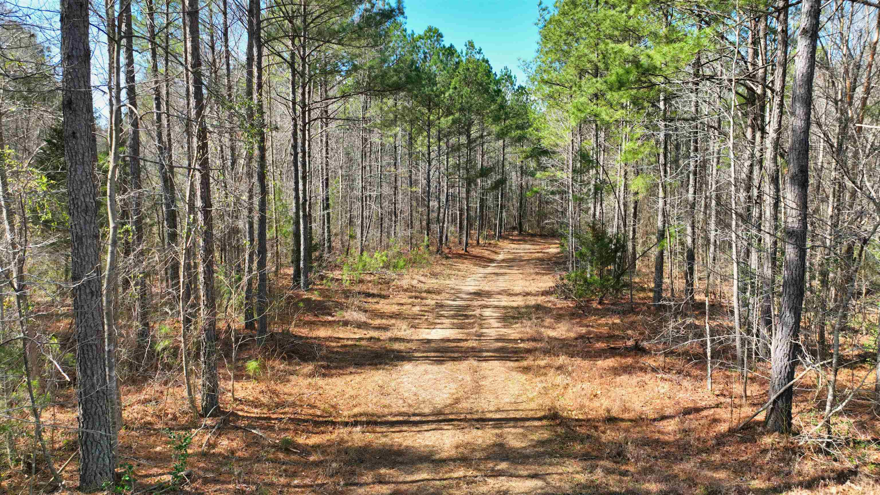 1555 Stallings Mill Road Spring Hope, NC 27882 - Photo 18 of 27 a view of outdoor space with trees