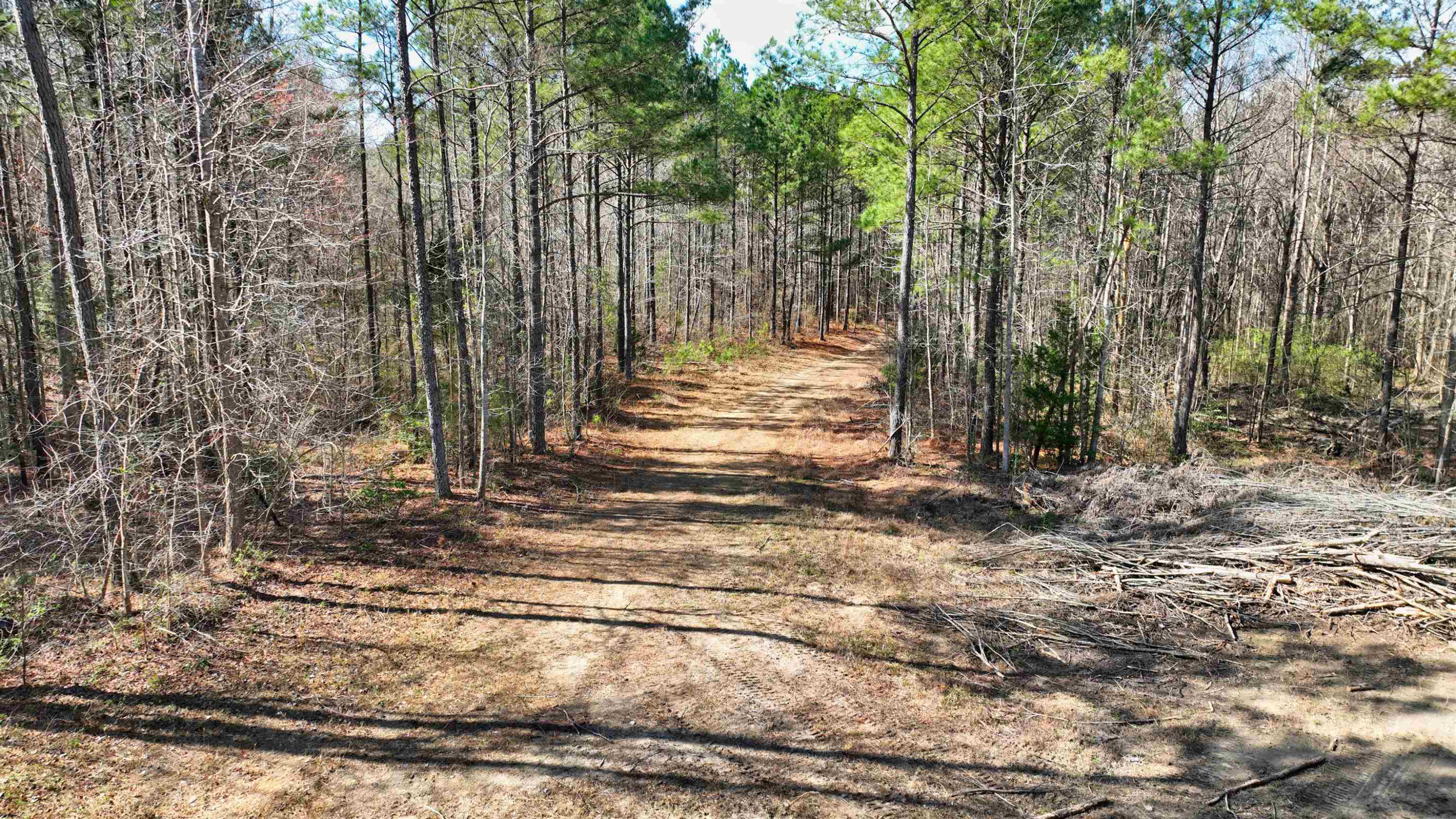 1555 Stallings Mill Road Spring Hope, NC 27882 - Photo 19 of 27 a view of a yard with trees
