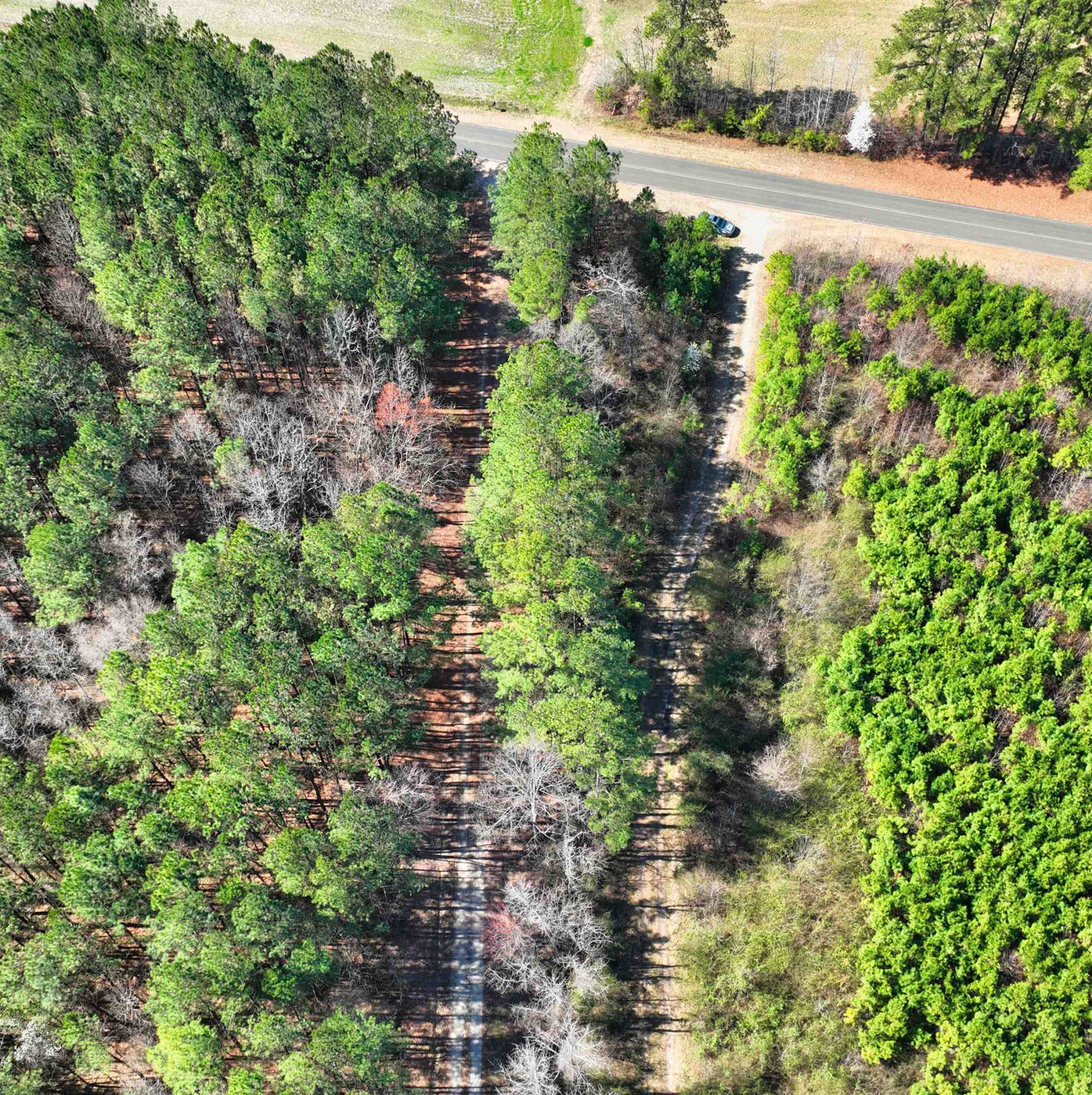 1555 Stallings Mill Road Spring Hope, NC 27882 - Photo 2 of 27 a view of a garden with a pathway