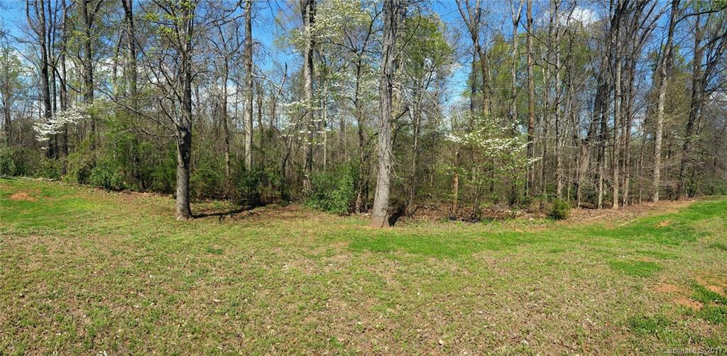 11203 Gold Pan Road Charlotte, NC 28215 - Photo 15 of 15 a backyard of a house with lots of green space