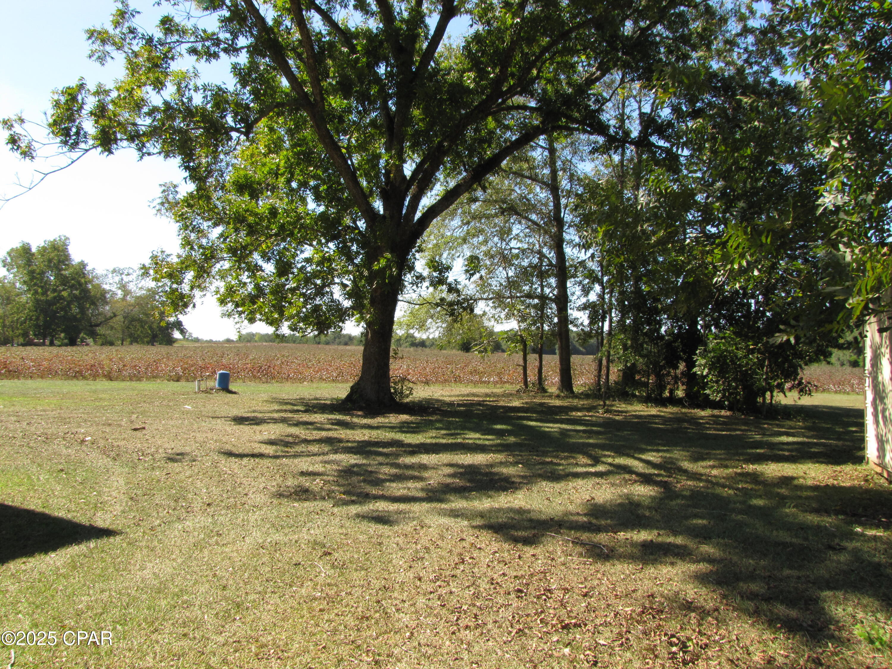 5493 Ellaville Road Campbellton, FL 32426 - Photo 2 of 19