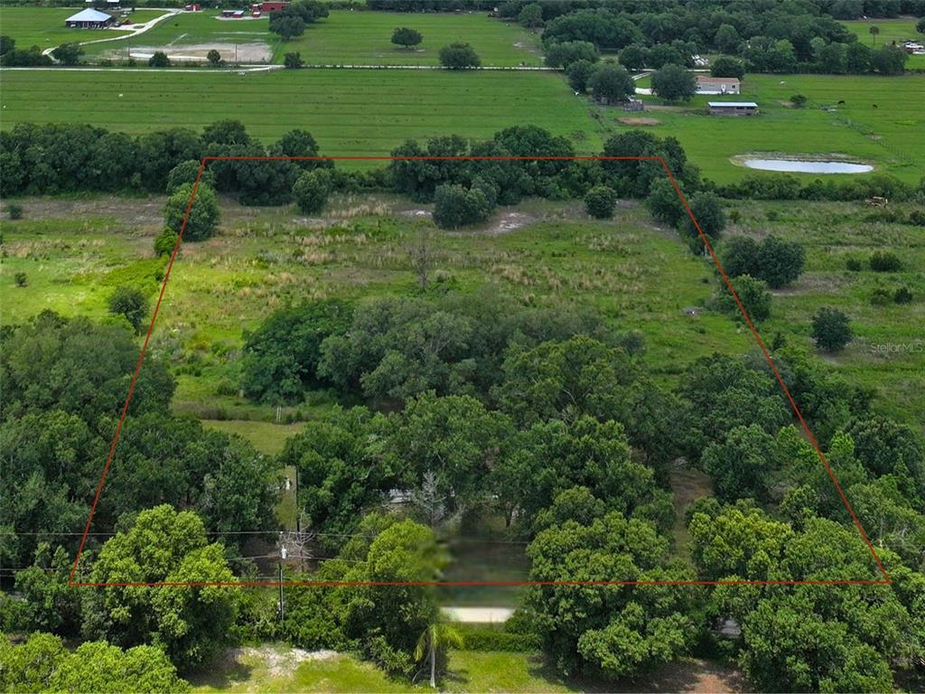 9827 Southeast Hoth Road Arcadia, FL 34266 - Photo 5 of 28 a view of a grassy field with trees