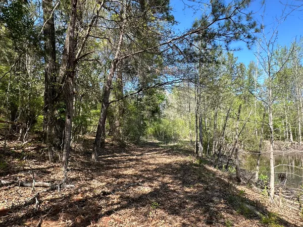 $548,000 | 115 Cedar Lane, Attalla, AL 35954