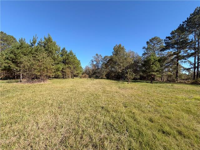 55174 Hano Road Independence, LA 70443 - Photo 13 of 27