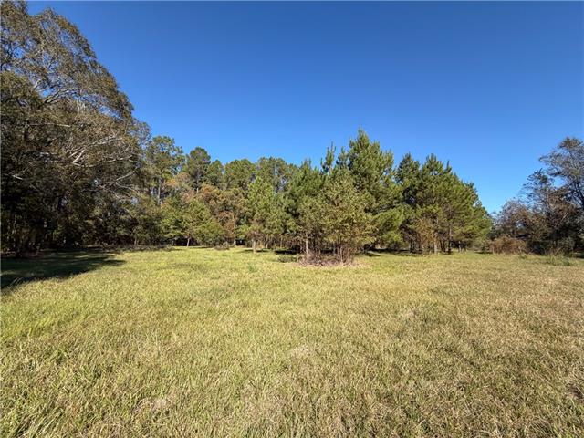 55174 Hano Road Independence, LA 70443 - Photo 14 of 27