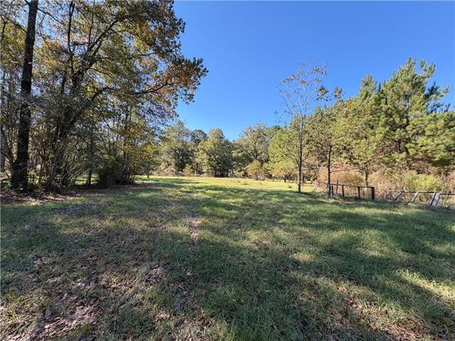 55174 Hano Road Independence, LA 70443 - Photo 7 of 27