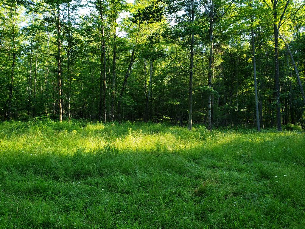 1915 Ginnan Road Corning, NY 14830 - Photo 1 of 1
