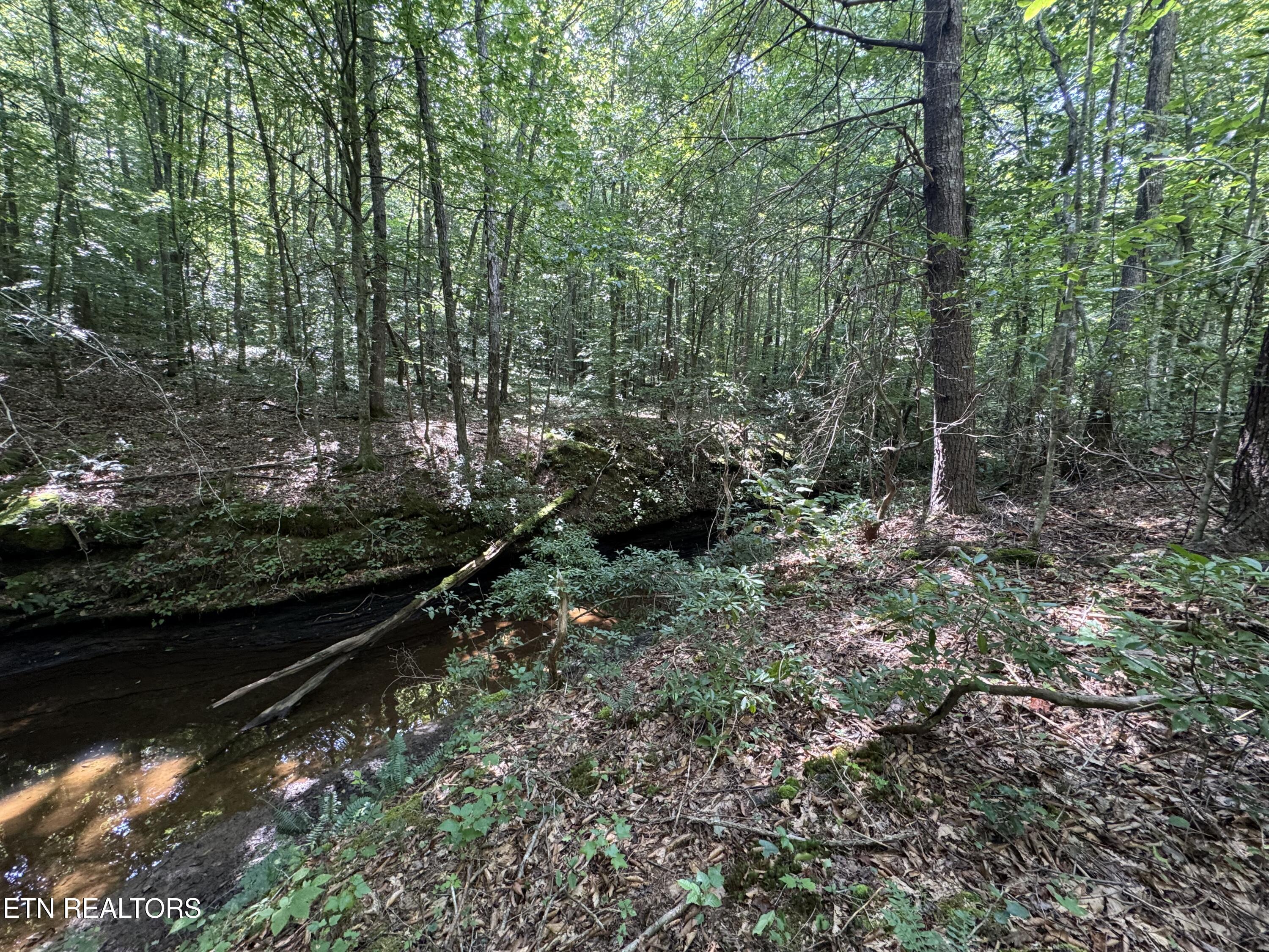 0 Brimstone Road Robbins, TN 37852 - Photo 22 of 47 IMG_3659