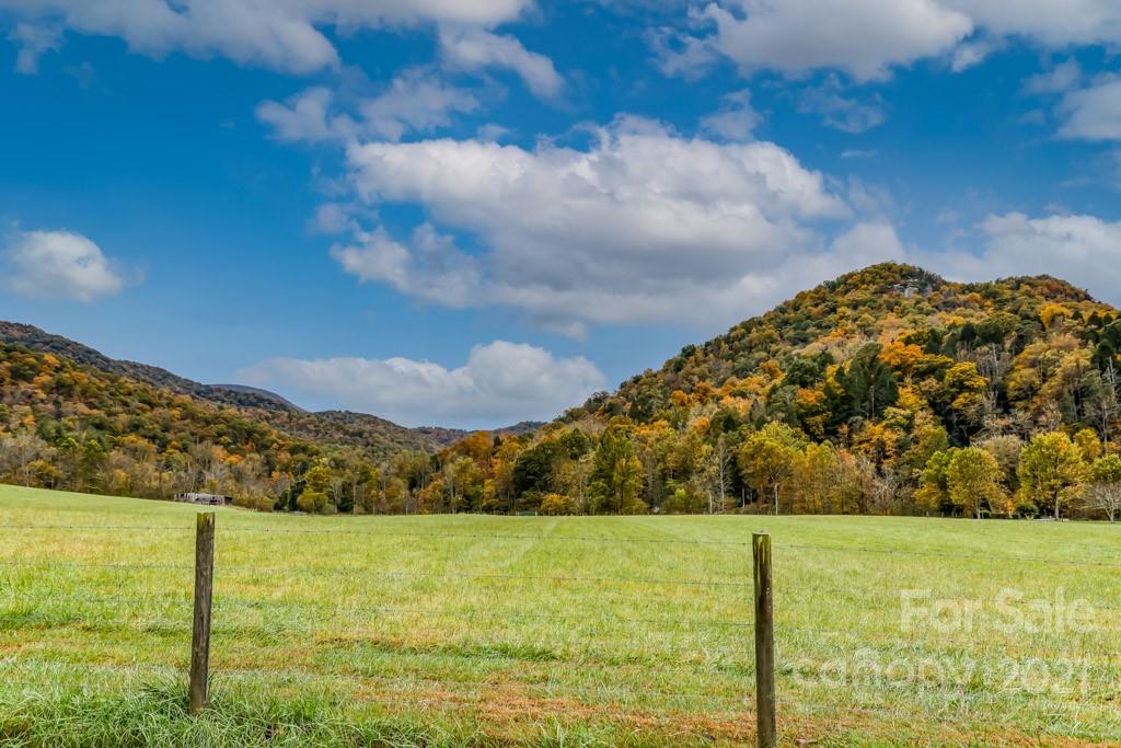 303 Blue Rock Road Hendersonville, NC 28792 - Photo 31 of 32 Gallery Image 31