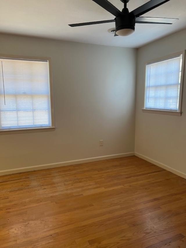 4169 Bluff Road Allendale, SC 29810 - Photo 8 of 12