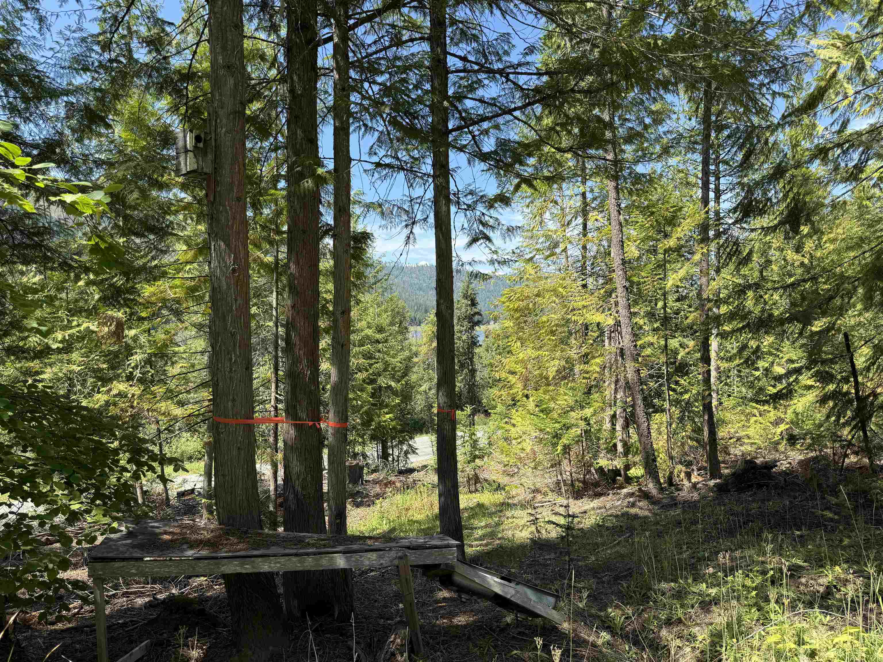 3516 Deep Lake Boundary Road Colville, WA 99114 - Photo 16 of 27 Gallery Image 16