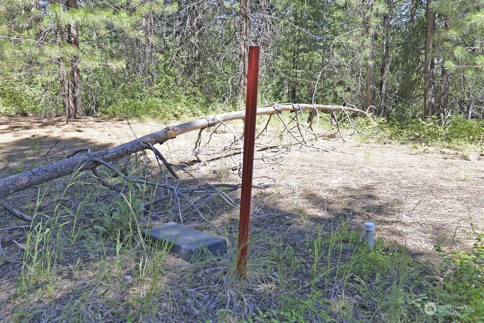 9 Methow Ranch Road Winthrop, WA 98862 - Photo 12 of 12 Gallery Image 12